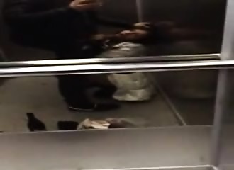Elle me suce et avale tout dans l'ascenseur